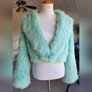 Taylor Swift - Inspired Custom Hand-Dyed Madden NYC Mint Green Faux Fur Jacket
